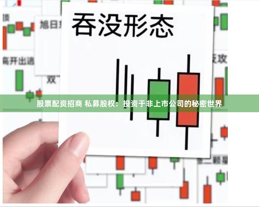 股票配资招商 私募股权：投资于非上市公司的秘密世界